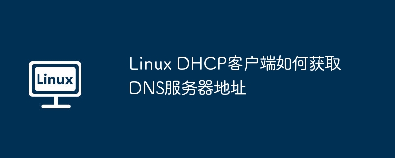 Linux DHCP客戶端如何獲取DNS服務器地址