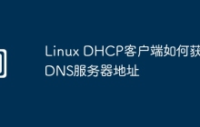 Linux DHCP客户端如何获取DNS服务器地址