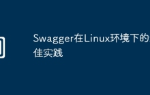 Swagger在Linux环境下的最佳实践