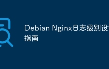 Debian Nginx日志级别设置指南