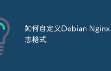 如何自定义Debian Nginx日志格式