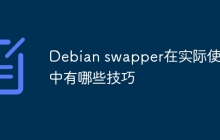 Debian swapper在实际使用中有哪些技巧