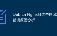 Debian Nginx日志中的500错误原因分析