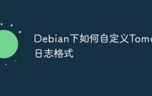 Debian下如何自定义Tomcat日志格式