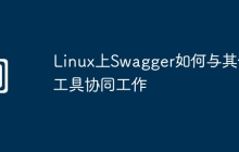 Linux上Swagger如何与其他工具协同工作