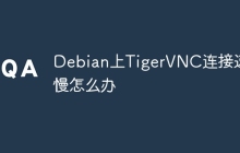 Debian上TigerVNC连接速度慢怎么办