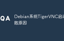 Debian系统TigerVNC启动失败原因