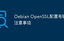 Debian OpenSSL配置有哪些注意事项