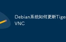 Debian系统如何更新TigerVNC