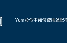 Yum命令中如何使用通配符