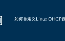 如何自定义Linux DHCP选项