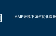 LAMP环境下如何优化数据库