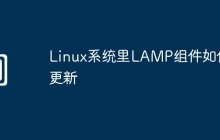 Linux系统里LAMP组件如何更新