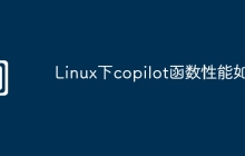 Linux下copilot函数性能如何