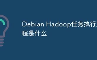 What is the execution process of Debian Hadoop
