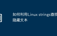 如何利用Linux strings查找隐藏文本