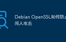 Debian OpenSSL如何防止中间人攻击