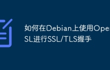 如何在Debian上使用OpenSSL进行SSL/TLS握手