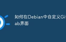 如何在Debian中自定义GitLab界面