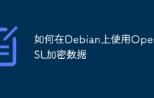 如何在Debian上使用OpenSSL加密数据