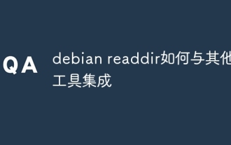 debian readdir如何与其他工具集成