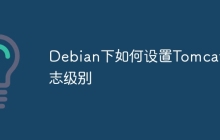 Debian下如何设置Tomcat日志级别