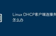 Linux DHCP客户端连接失败怎么办