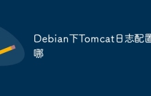 Debian下Tomcat日志配置在哪