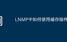 LNMP中如何使用缓存插件