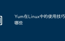 Yum在Linux中的使用技巧有哪些