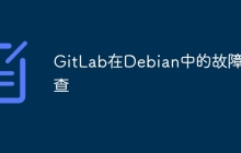 GitLab在Debian中的故障排查