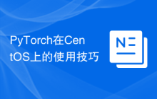 PyTorch在CentOS上的使用技巧