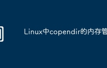 Linux中copendir的内存管理