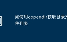 如何用copendir获取目录文件列表