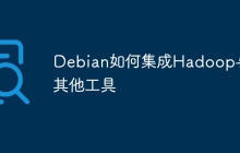 Debian如何集成Hadoop与其他工具