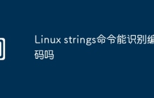 Linux strings命令能识别编码吗