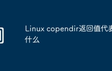 Linux copendir返回值代表什么
