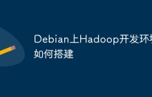 Debian上Hadoop开发环境如何搭建