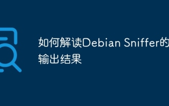 How to interpret the output results of Debian Sniffer