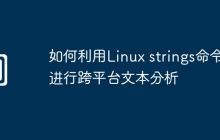如何利用Linux strings命令进行跨平台文本分析