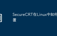 SecureCRT在Linux中如何配置