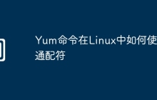 Yum命令在Linux中如何使用通配符