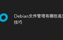 Debian文件管理有哪些高效技巧