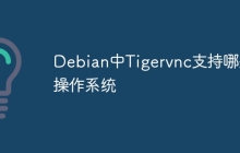 Debian中Tigervnc支持哪些操作系统