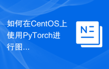 如何在CentOS上使用PyTorch进行图像处理