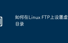 如何在Linux FTP上设置虚拟目录