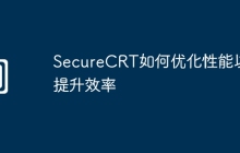 SecureCRT如何优化性能以提升效率