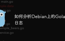 如何分析Debian上的Golang日志