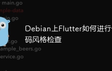 Debian上Flutter如何进行代码风格检查