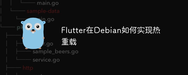 Flutter在Debian如何实现热重载-小浪学习网